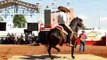 Campeonato Nacional de Caballos Bailadores en la Expo Ganadera Jalico 2011