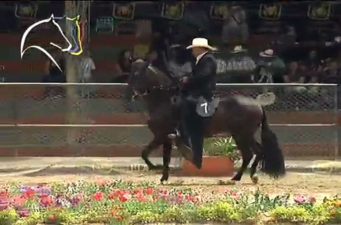 Trote y Galope - Aquiles de la Cristalina