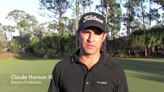 The High Soft Pitch with Butch Harmon