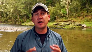 Fly Fishing. Fly casting. Tips for fly casting in the wind