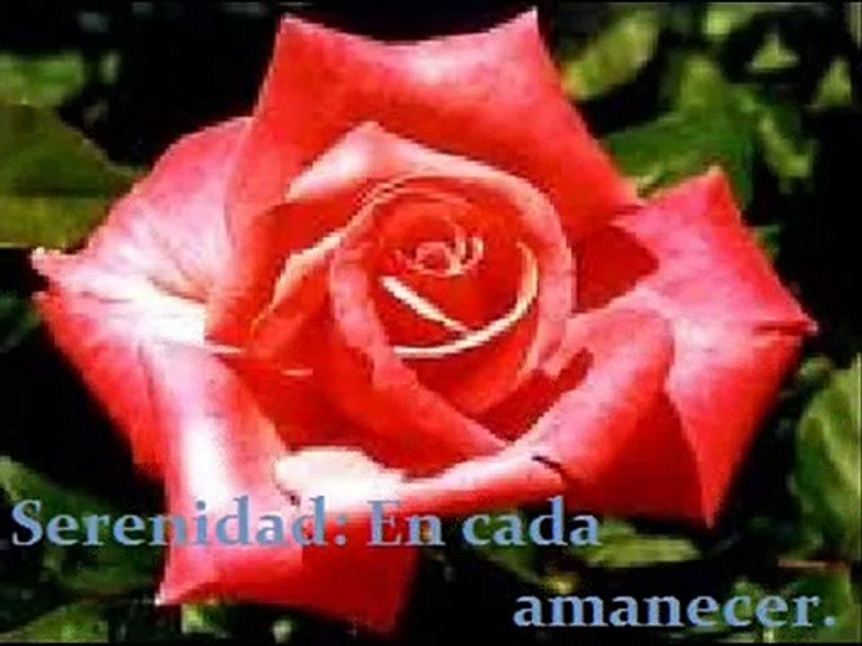 Las Mañanitas con el mariachi vargas de tecalitlán.