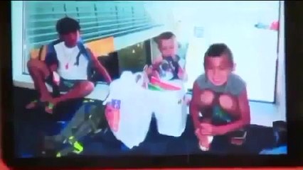 Big Cat Attacks Boy Funny Animal Videos