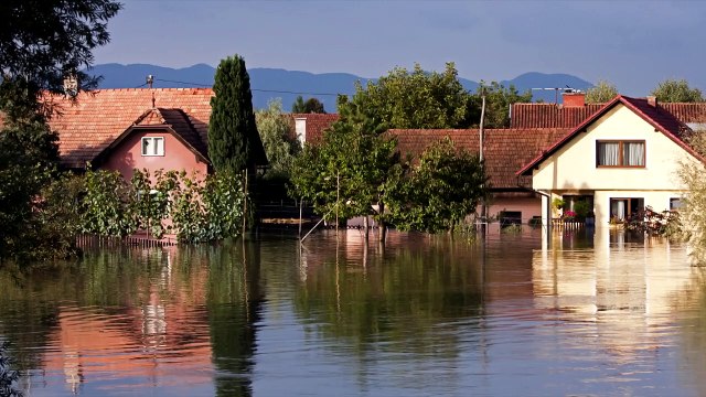 AdvantaClean of Southeast Michigan: Water Damage, Mold Removal Services in Ann Arbor, Michigan