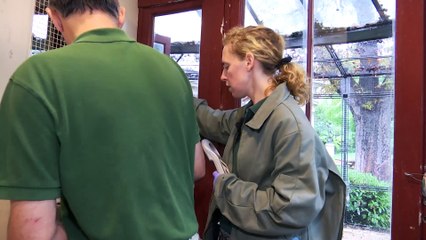 La gestionnaire de collection (Les métiers de la Ménagerie 1/4)