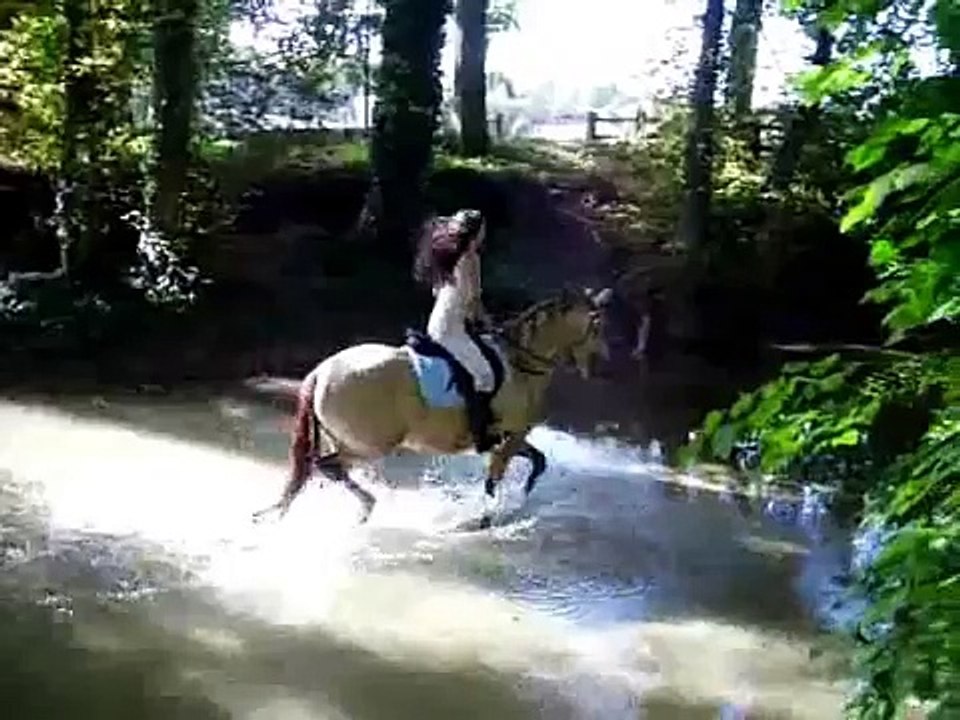 Mon hispano : Un rêve