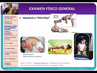 www.capacitacionesonline.com EXAMEN FISICO GENERAL PEDIATRICO