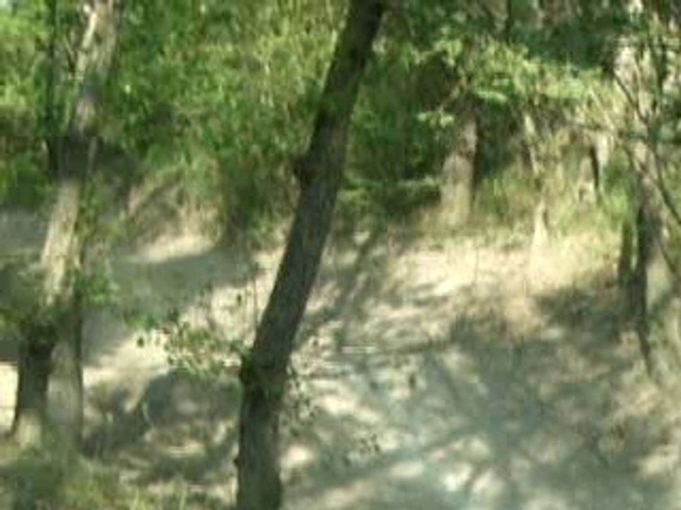DSCF0450