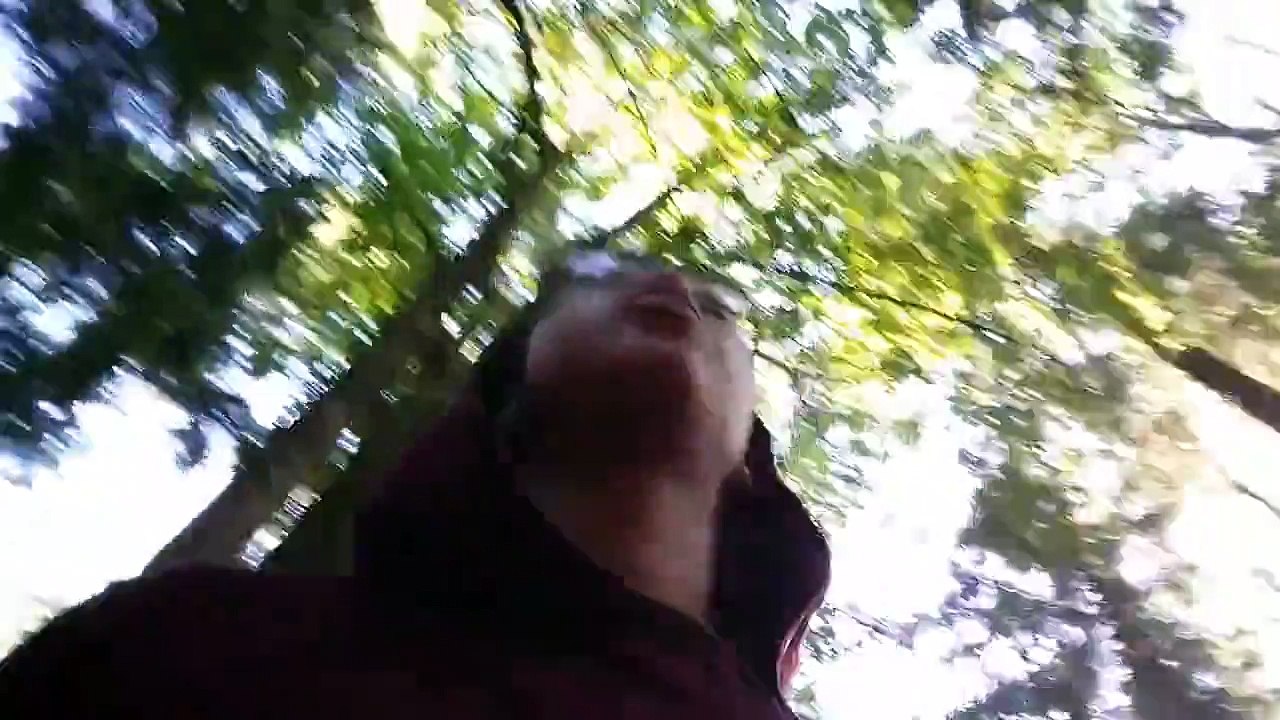 Small camping adventures