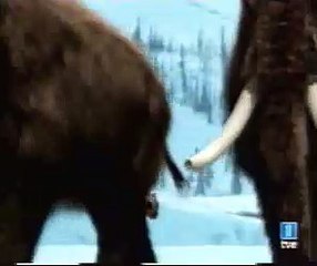 short faced bear, irkuikem, criptozoology