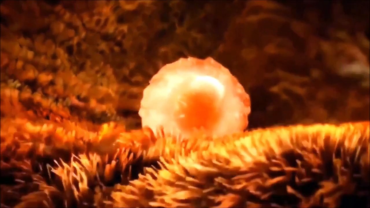 Miracles - Thomas Bergersen ( epic music & video )