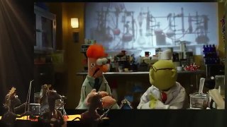 The Muppets Music Video | The Muppets | Flowers on the Wall |