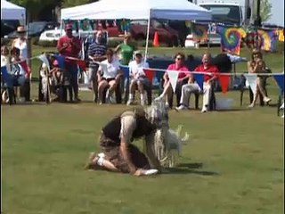 X-Dogs In Action W/Todd Duncan - Stop N Stare Entertainment