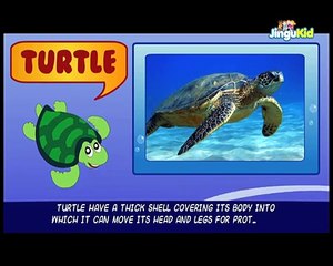 Learn About Water Animals | Easy Learning for Children| Stories for Kids | Animation | Preschool