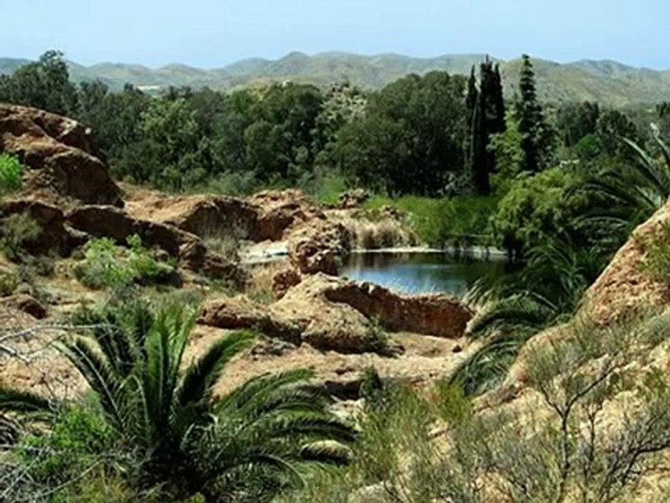 Alpha D. vs Vagabundo - House Style  re- visited vrmx.mpg