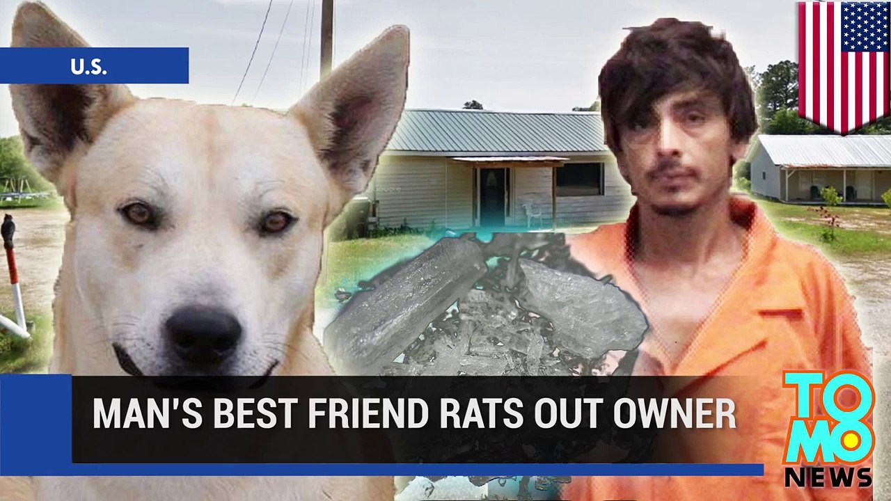 Dog betrays meth-head owner by leading police straight to his Alabama hiding spot