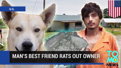 Dog betrays meth-head owner by leading police straight to his Alabama hiding spot