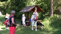 Kynologický klub Moravské Budějovice - pochod se psy