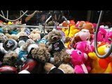 Big Choice Claw Machine wins! Great grabs! lots of prizes!