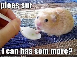 The Hamster Dance -With lyrics!