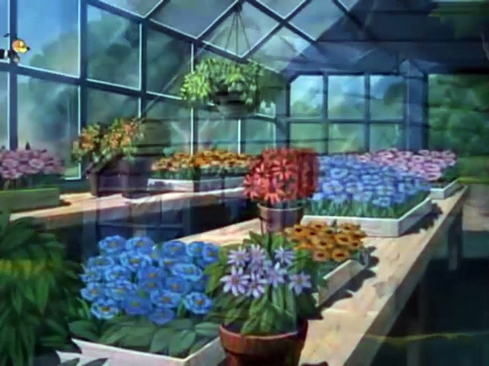 Donald Duck Best Compilation 2015 #1