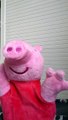 peppa pig sings 