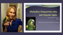 Conférence — Maladies fréquentes des perroquets âgés – extrait