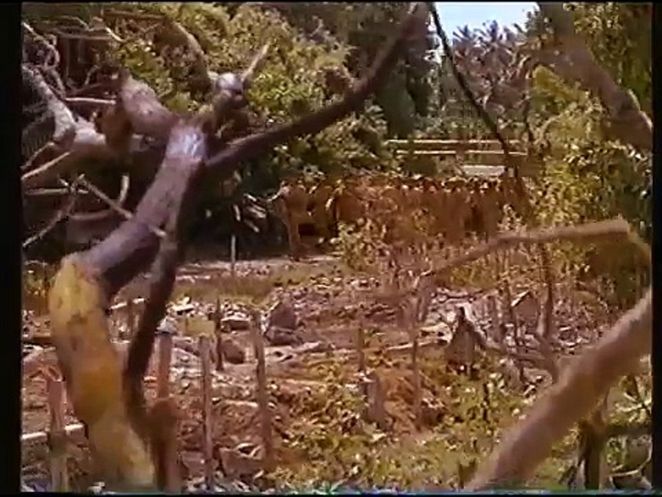 Bridge on the River Kwai Theme