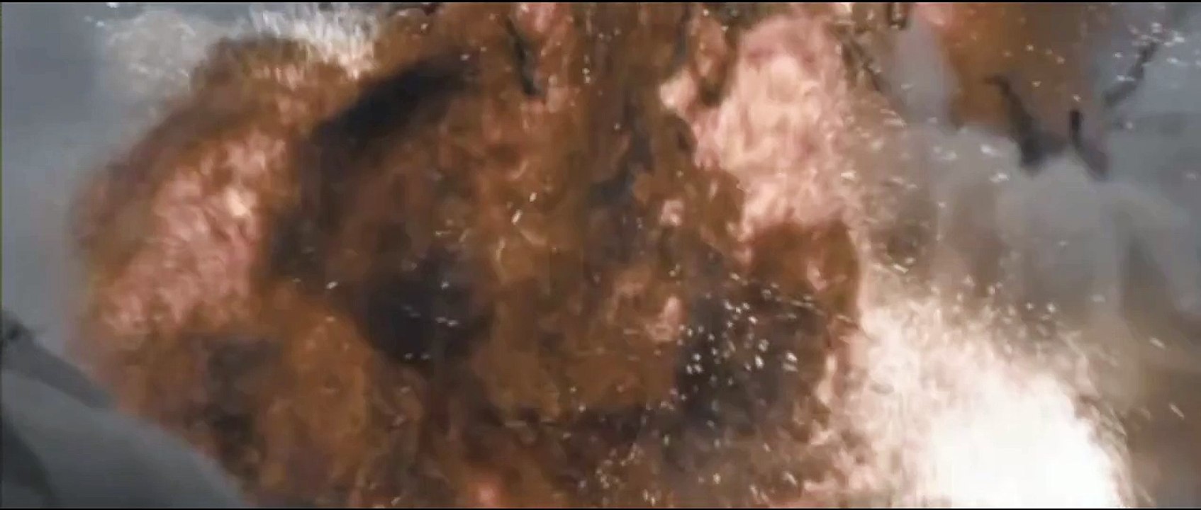 flags of our fathers & letters from iwo jima - green day 21guns