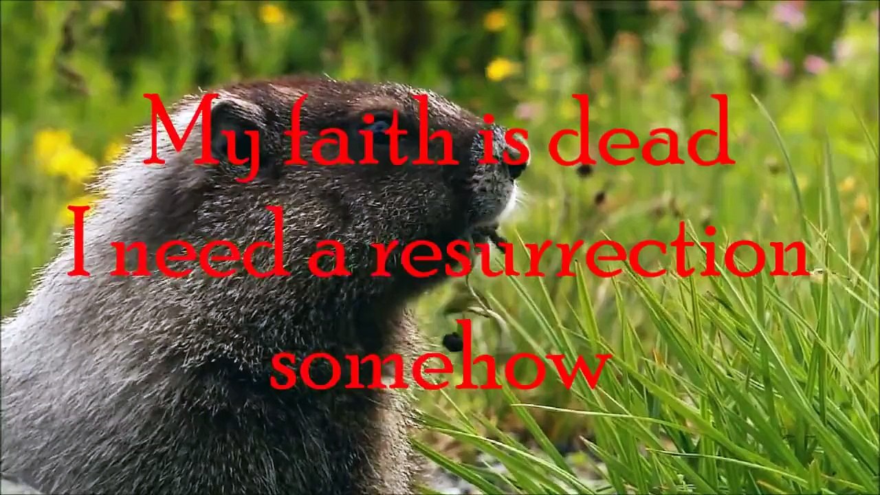 God's Not Dead (Like A Lion)-The Newsboys-Lyrics
