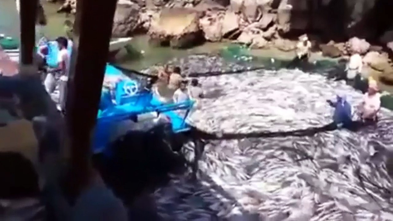 Bu kadar balık yakalanır mı