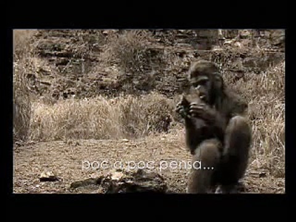Homo something...