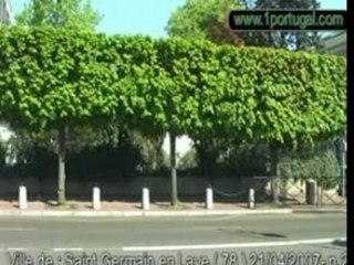 Saint Germain en Laye - 2