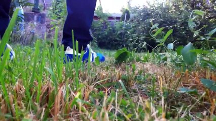 20year old boy with ADIDAS DRAGON Sneaker