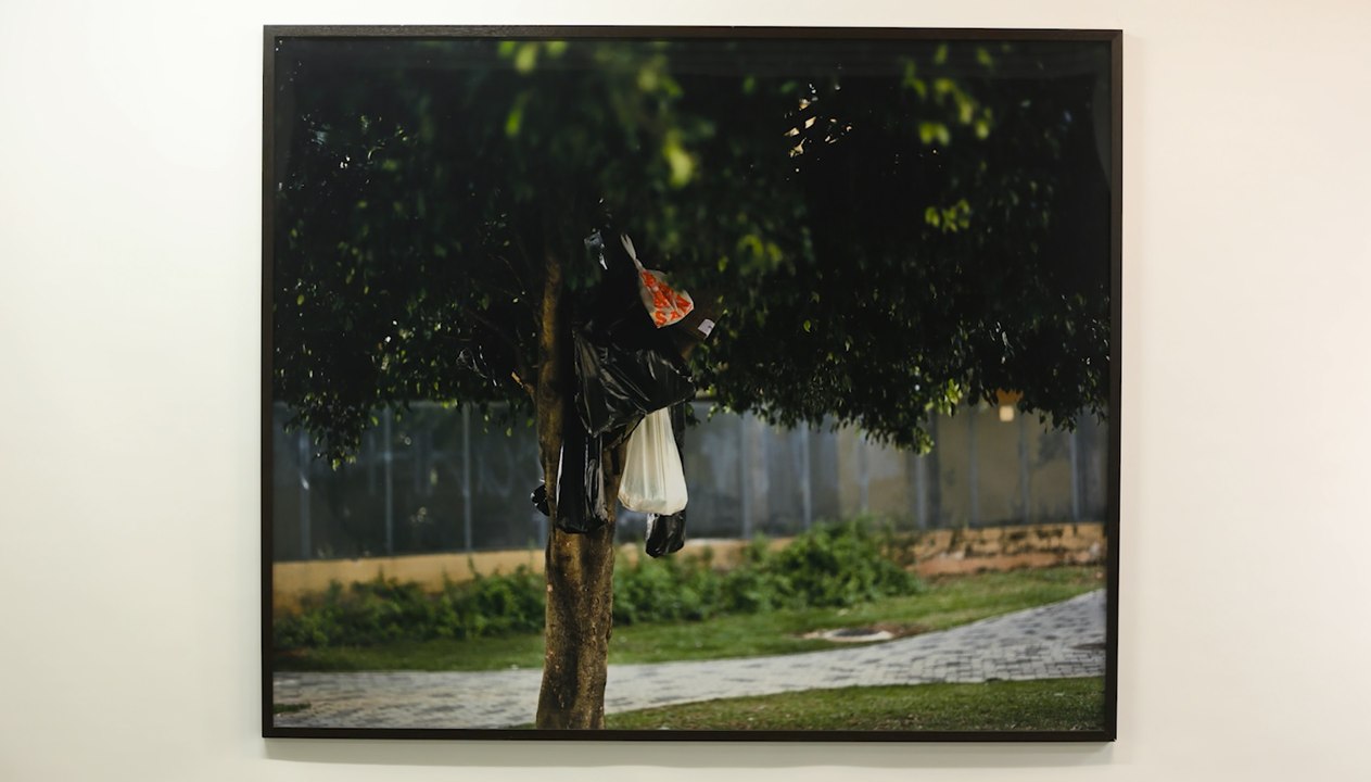 Manuela Marques, Suspension 1 - 2010 VOSTA