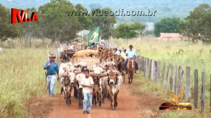 DOCUMENTÁRIO CARRO DE BOIS EM BURITIS RESUMIDO.wmv