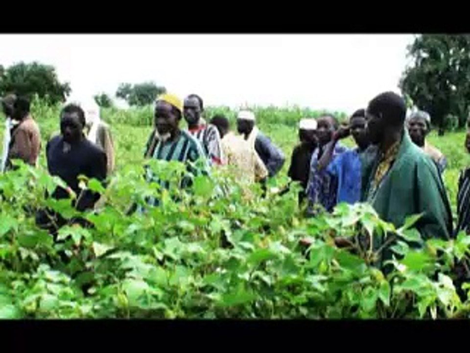 AIC-B Documentary on IPM/ISFM in Burkina Faso: Part 3 of 4