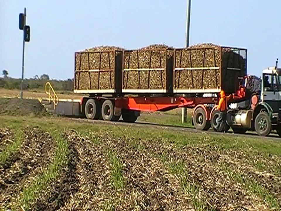 sugar cane train australia