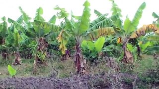 Adapting to climate change in Pangani, Tanzania