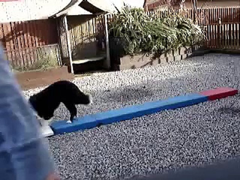 Total Touch Target Training