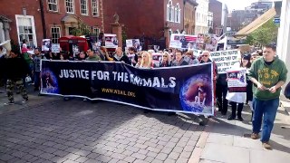 World Day for Animals In Labolatories 2014, Nottingham