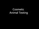 Cosmetic Animal Testing FIRST DRAFT