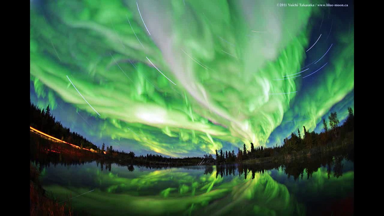 Wim Mertens - Birds for the mind