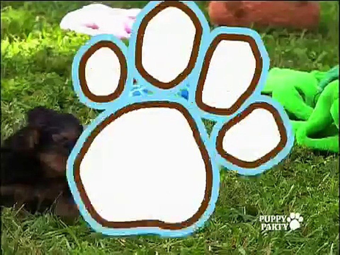 PUPPY PARTY! IT'S PARTY TIME!