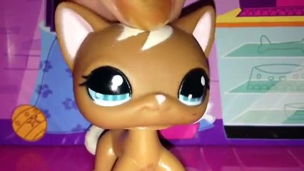 LPS MV (For Cookie swirl C)
