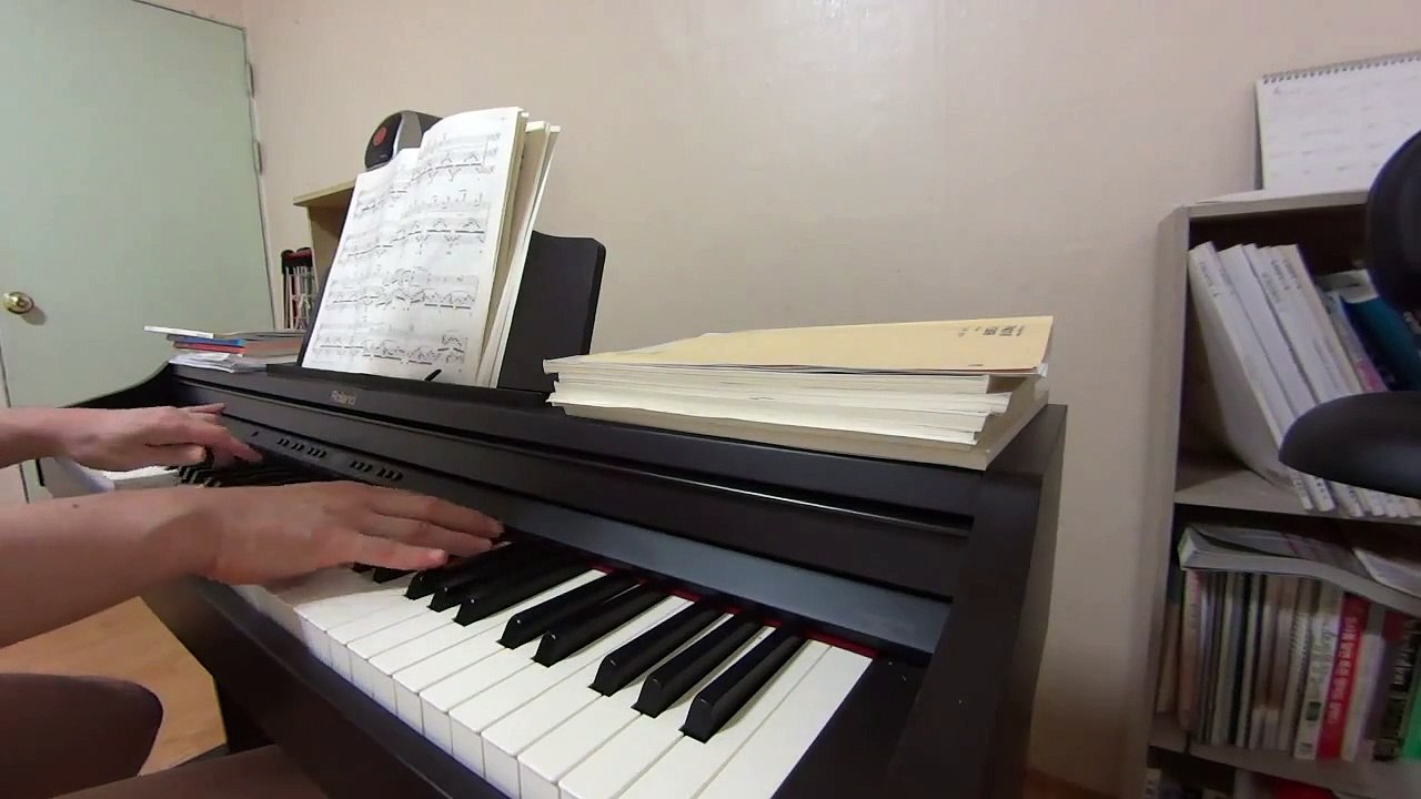 Roland RP401 Liszt Etude de Concert No. 3 "Un Sospiro" by Sony HDR -MV1