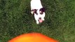 Crazy jack russell terrier jumping and playing with ball