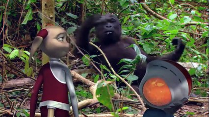 GORILLA  Animals for children  Kids videos  Kindergarten   Preschool learning