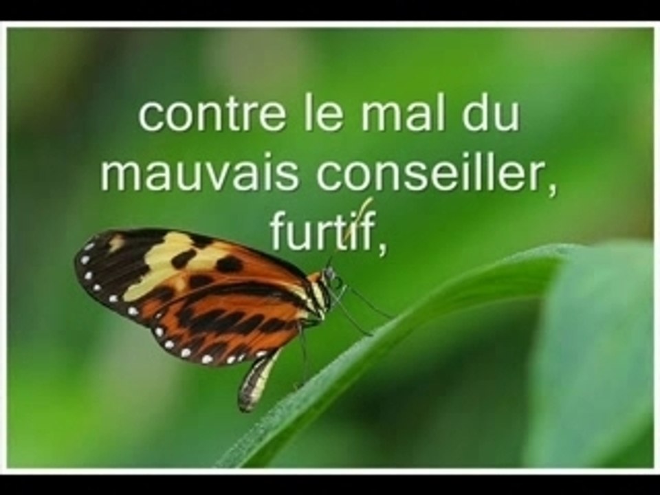 Darifton : sourate anas