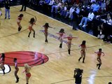 Miami Heat Dancers