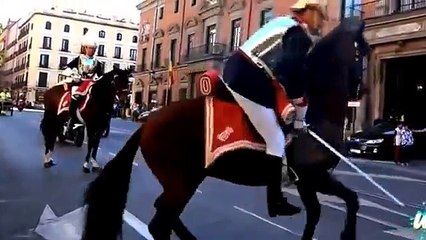 uk england army police Guards Fails London Buckingham palace